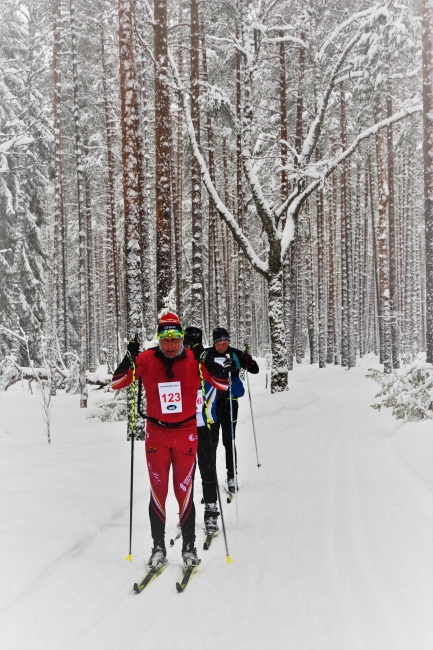 Klikkaamalla seuraava kuva